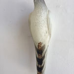 Jane Rosen, Paws/Pause Study, 2021