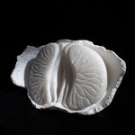 BibiMichèle, Ice (collaborative sculpture by Bibi van der Velden and Anouk Kramer), 2022