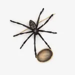 Gabriella Kiss, Moonstone Spider Brooch