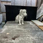 Nicola Hicks, Mountain Lion, ed. 1 of 6, 2023