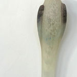 Jane Rosen, Gesture Bear, 2024