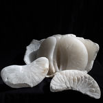 BibiMichèle, Ice (collaborative sculpture by Bibi van der Velden and Anouk Kramer), 2022