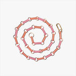 Alice Cicolini, Sari benares zari band