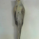 Jane Rosen, Paws/Pause Study, 2021