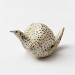 Fiona Waterstreet, Untitled