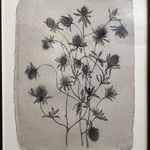 Fiona Waterstreet, Untitled