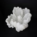 BibiMichèle, Ice (collaborative sculpture by Bibi van der Velden and Anouk Kramer), 2022