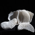 BibiMichèle, Ice (collaborative sculpture by Bibi van der Velden and Anouk Kramer), 2022