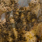 Tonia Calderon, They don't listen when you scream. It's time to whisper now., (Diptych), 2025