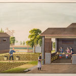 Coulborn antique gouache A Set of 12 Chinese Trade Pictures – depicting the growing, harvesting and processing of tea