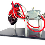 Alastair Gibson, Racing Piranha Keyring