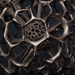 Vincent Mock, Radiolaria