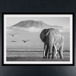 James Lewin, Through The Ages. Amboseli, Kenya