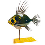 Alastair Gibson, Racing Piranha Keyring