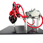 Alastair Gibson, Racing Piranha Keyring