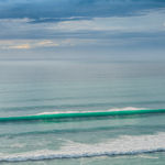 Alexander Sutton, The Tadorne