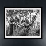 James Lewin, Through The Ages. Amboseli, Kenya