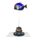 Alastair Gibson, Baby Piranha - 2025 (10 versions)