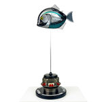 Alastair Gibson, Racing Piranha Keyring