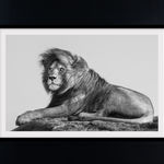 James Lewin, Through The Ages. Amboseli, Kenya