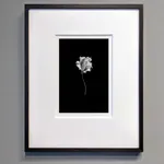 Norman McBeath RSA, Perdendosi II, 2021