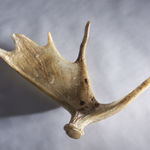 Shaun Fraser, Ach An Cuan: The Atlantic Series (Part 1), 2014