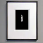 Norman McBeath RSA, Perdendosi VII, 2021