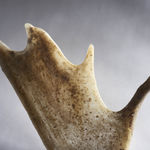 Shaun Fraser, Ach An Cuan: The Atlantic Series (Part 1), 2014