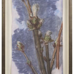 Avigdor Arikha, Bourgeon, 1983