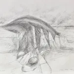 Will Maclean RSA, Slope Point Transfer / Mary Ross, 2020