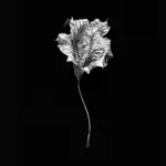 Norman McBeath RSA, Perdendosi II, 2021