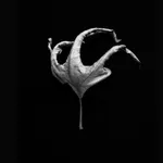 Norman McBeath RSA, Perdendosi VI, 2021