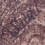 Waistel Cooper, Mallet form vase, 1960s-1970s