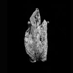 Norman McBeath RSA, Perdendosi V, 2021