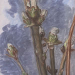 Avigdor Arikha, Bourgeon, 1983