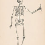 Illustrated London News (ILN), Automobiles - Selwyn Edge and his Napier six, 1907