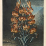 John Harris, London - Bank of England, 1814