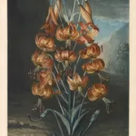 John Harris, London - Bank of England, 1814