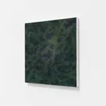 Han Jin, Afternoon Slowly Disappearing , 2017