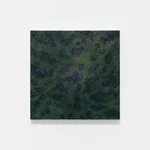 Han Jin, Afternoon Slowly Disappearing , 2017