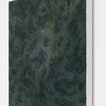 Han Jin, Afternoon Slowly Disappearing , 2017