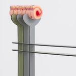 Cem Örgen, Am I in Love?, 2024