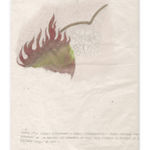 Nil Yalter, The AmbassaDRESS (Sefire), 1978