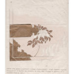 Nil Yalter, The AmbassaDRESS (Sefire), 1978