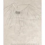 Nil Yalter, The AmbassaDRESS (Sefire), 1978