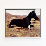 Pacifico Silano, Untitled (Construction Worker), 2022