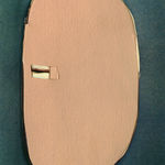 Ruth van Beek, Untitled (white dog, blue ribbon), 2016