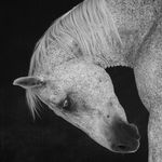 Anja Niemi, The Dancing Cowboy, 2018