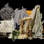 Nico Krijno, Pattern Study with Pine Cones, 2017