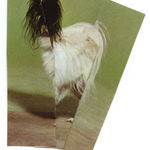 Ruth van Beek, Untitled (Figure 17), 2018